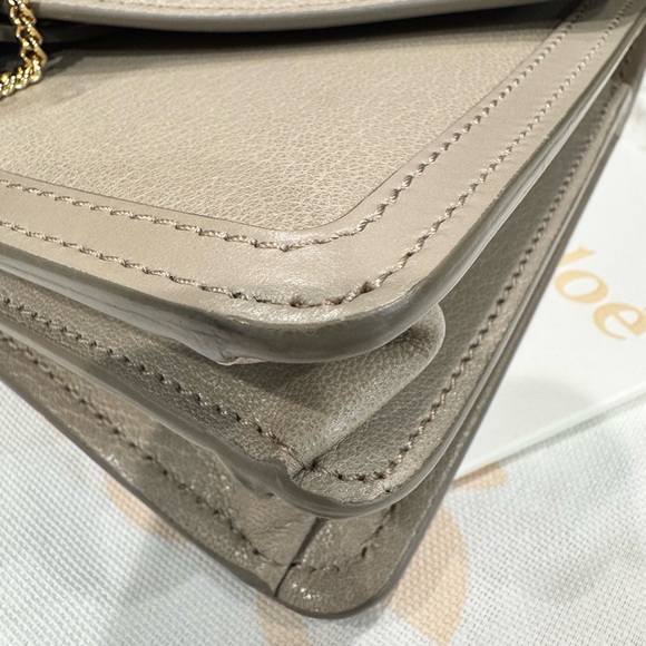 CHLOE
Shiny Goatskin Calfskin Mini Aby
Chain Shoulder Bag Motty Grey - Picture 4 of 7